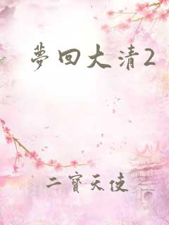 梦回大清2