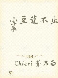 小豆蔻不止是颗菜