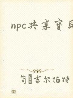 npc共享宝贝