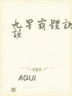 九星霸体诀 小说