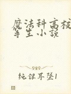 魔法科高校的劣等生小说