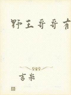 野王哥哥有点甜