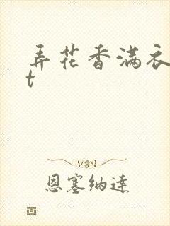 弄花香满衣txt