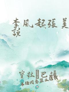 李风起张美丽小说