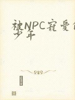 被NPC宠爱的少年