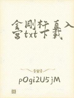 金刚杵直入莲花宫txt下载