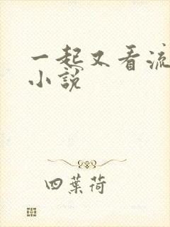 一起又看流星雨小说