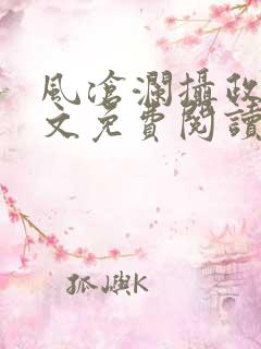 风沧澜摄政王全文免费阅读