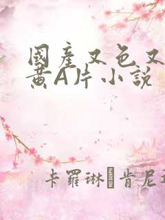 国产又色又爽又黄A片小说