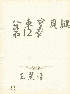 公车宝贝腿开点第12章