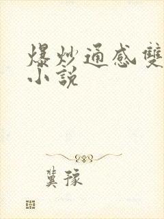 爆炒通感双胞胎小说