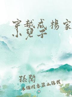 穿越成杨家将最小儿子