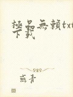 极品无赖txt下载