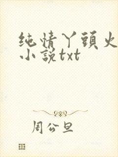 纯情丫头火辣辣小说txt