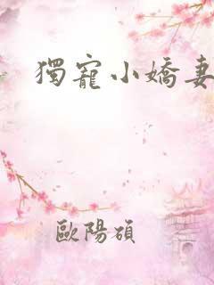 独宠小娇妻