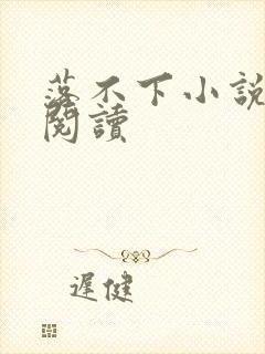 落不下小说全文阅读