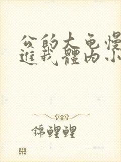 公的大龟慢慢挺进我体内小说