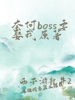 奈何boss要娶我原著