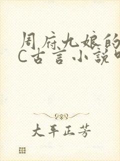 周府九娘的NPC古言小说叫什么