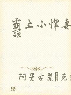 霸上小悍妻 小说