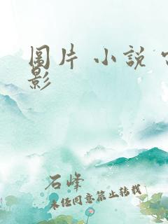 图片 小说 电影