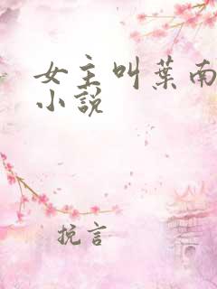 女主叫叶南初的小说