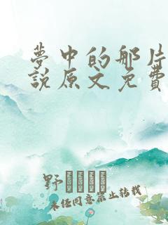 梦中的那片海小说原文免费阅读