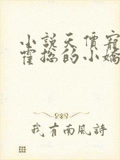 小说天价宠妻:霍总的小娇妻