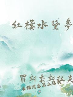 红楼水黛梦