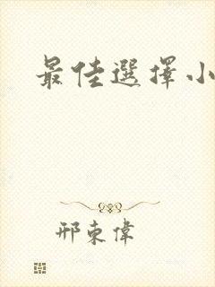 最佳选择小说