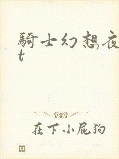 骑士幻想夜txt