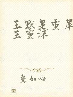 王默是灵犀阁公主灵沫