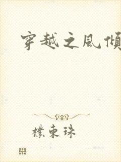穿越之风倾天下