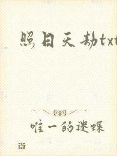 照日天劫txt