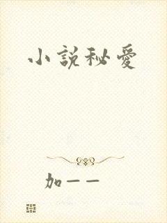 小说秘爱