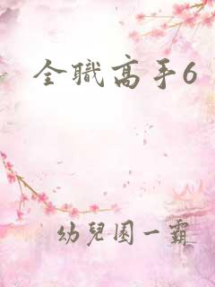 全职高手6