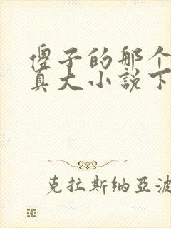 傻子的那个东西真大小说下载