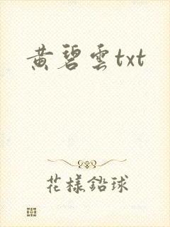黄碧云txt