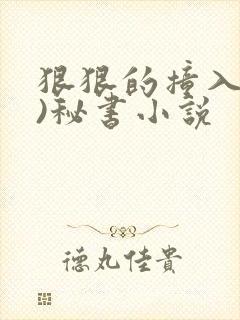 狠狠的撞入(h)秘书小说