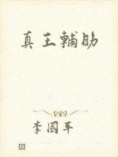 真王辅助