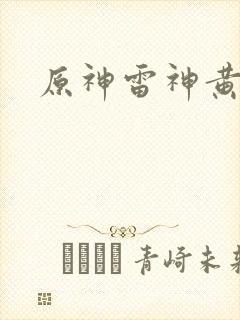 原神雷神黄本本