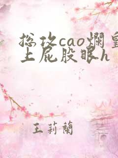 总攻cao烂皇上屁股眼h