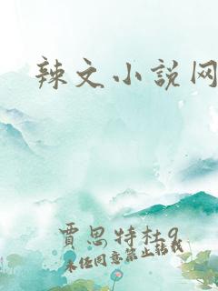 辣文小说网