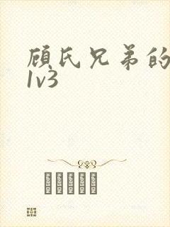 顾氏兄弟的南宁1v3