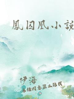 凤囚凰小说