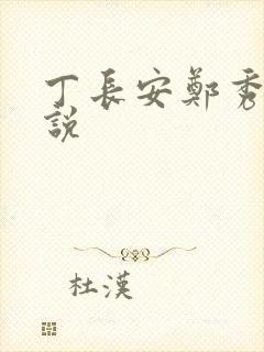 丁长安郑秀兰小说