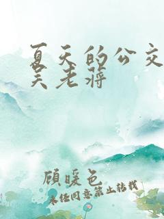 夏天的公交车老吴老蒋