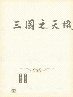 三国之天机军师