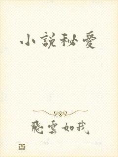 小说秘爱