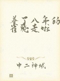 养了八年的金丝雀飞走啦